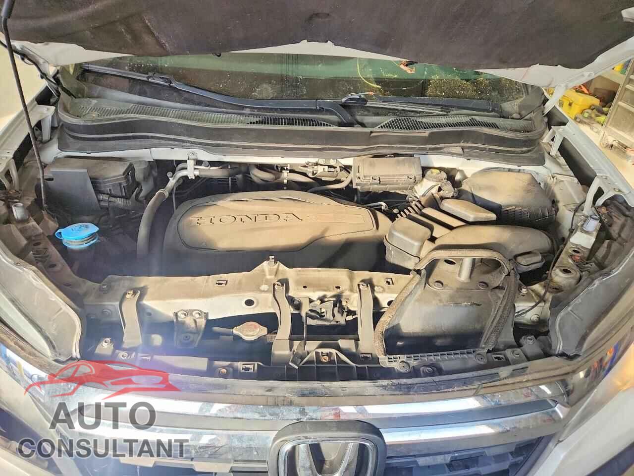 HONDA RIDGELINE 2019 - 5FPYK3F5XKB010161