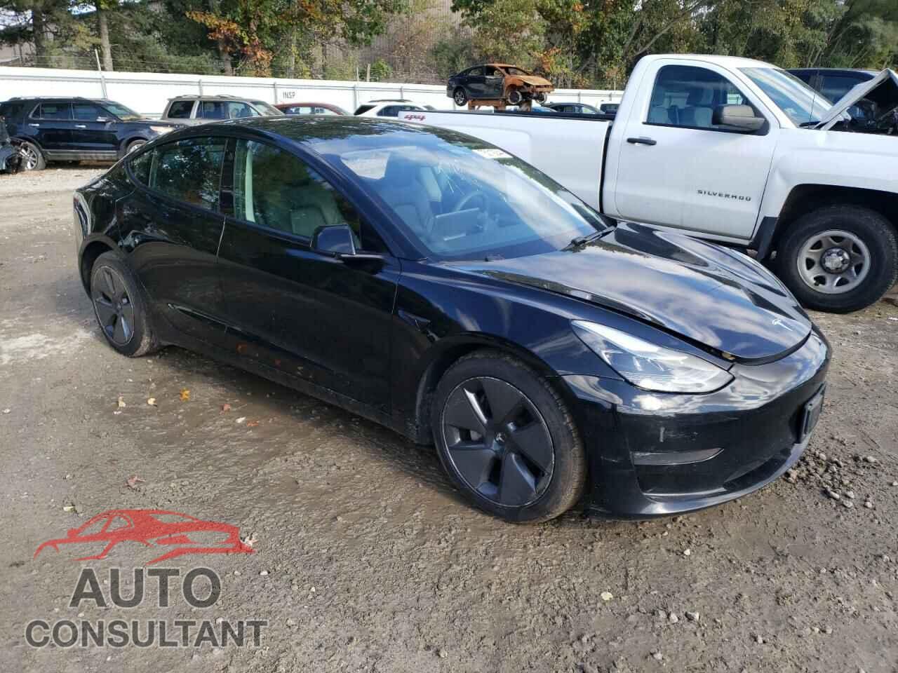 TESLA MODEL 3 2021 - 5YJ3E1EBXMF987986