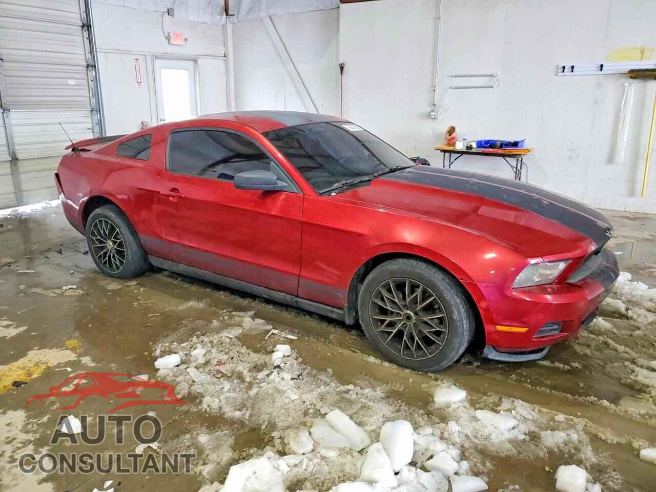 FORD MUSTANG 2010 - 1ZVBP8AN8A5140652