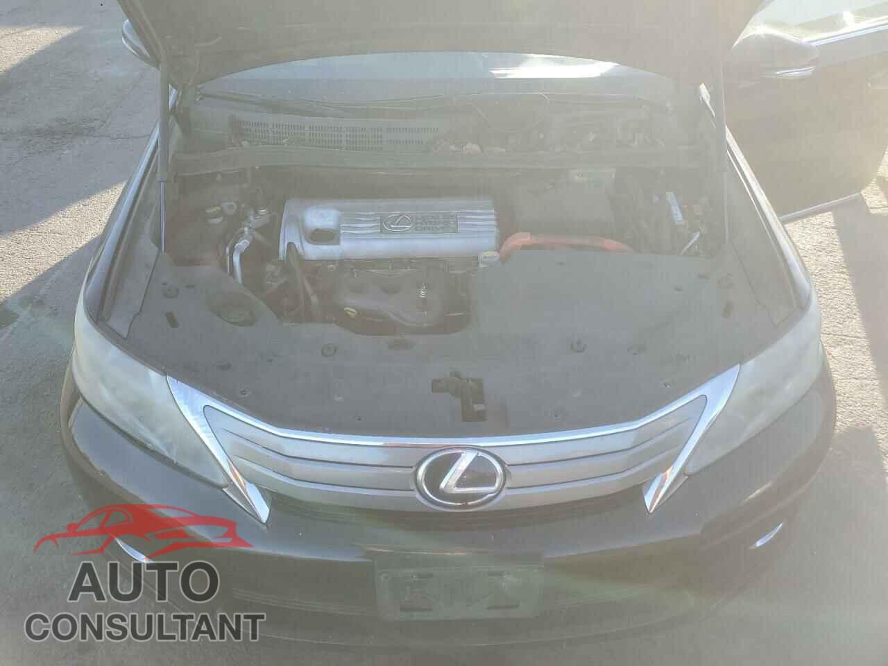 LEXUS HS 2010 - JTHBB1BA1A2025430