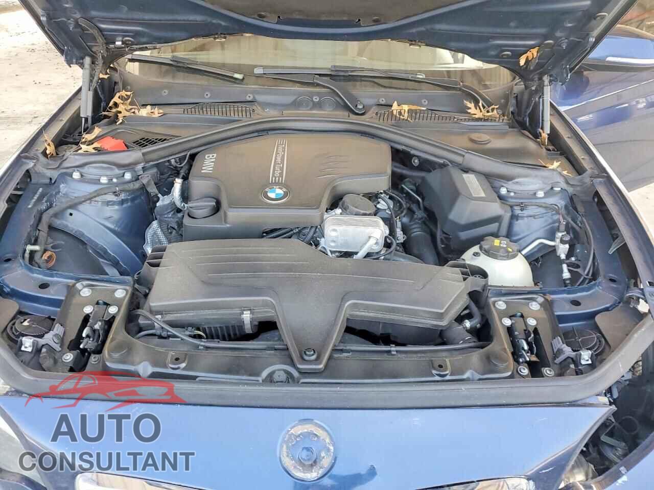 BMW 2 SERIES 2015 - WBA1F9C58FV544141