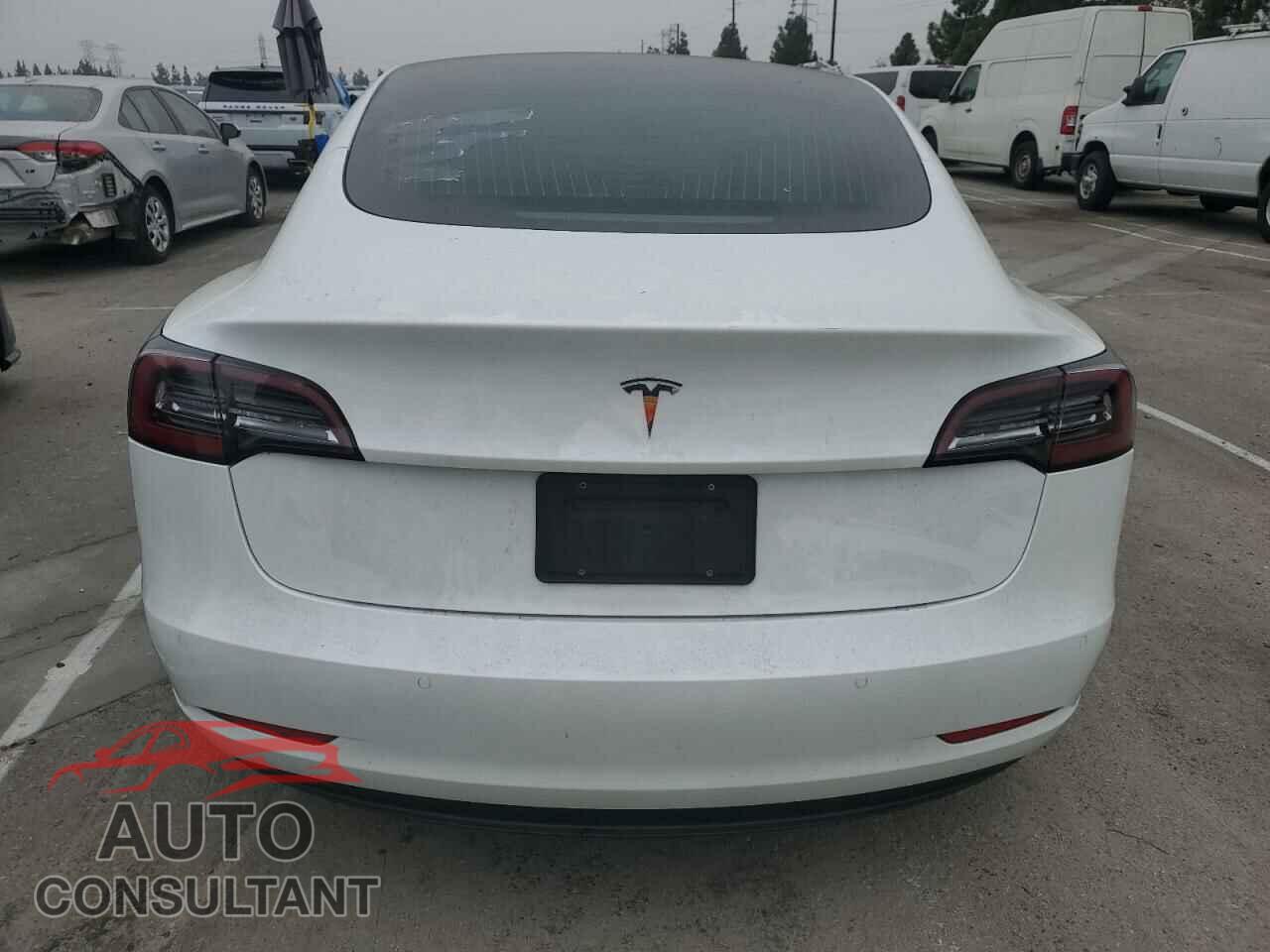TESLA MODEL 3 2020 - 5YJ3E1EA1LF806909