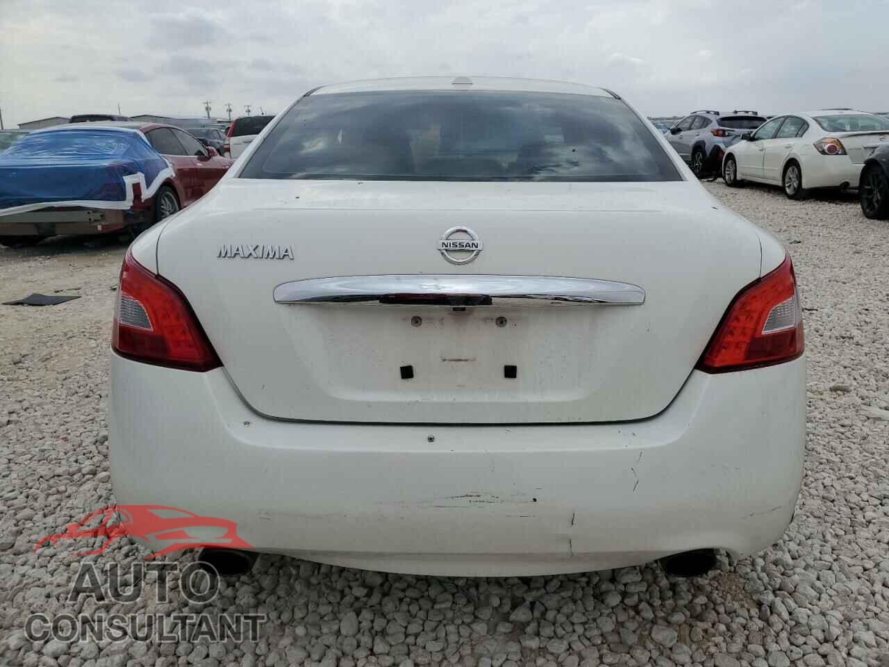 NISSAN MAXIMA 2011 - 1N4AA5APXBC816604