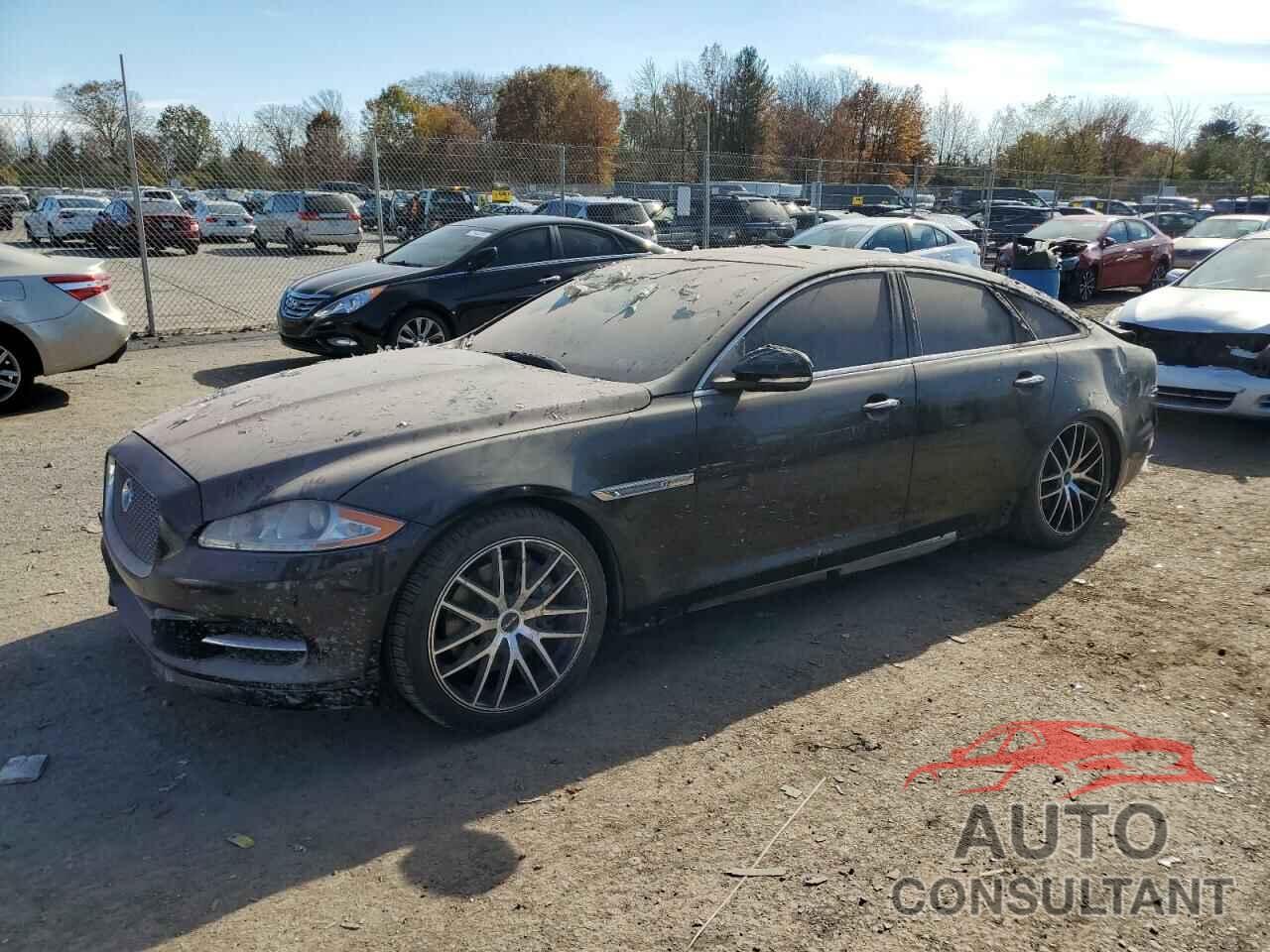 JAGUAR XJ 2015 - SAJWJ1CD1F8V90815