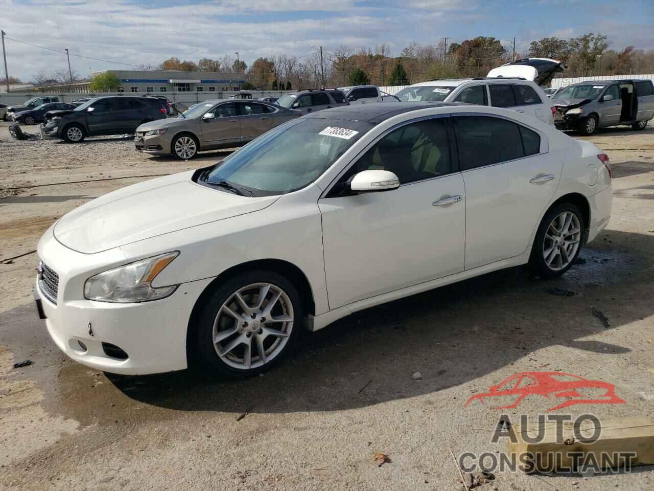 NISSAN MAXIMA 2011 - 1N4AA5AP8BC816875