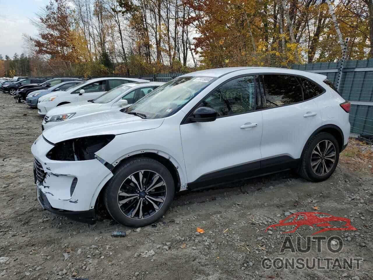 FORD ESCAPE 2021 - 1FMCU0G6XMUB27814