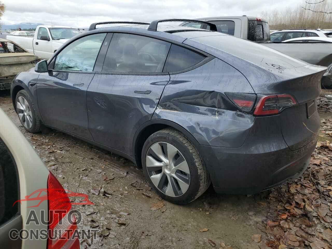 TESLA MODEL Y 2023 - 7SAYGDEE1PF867366