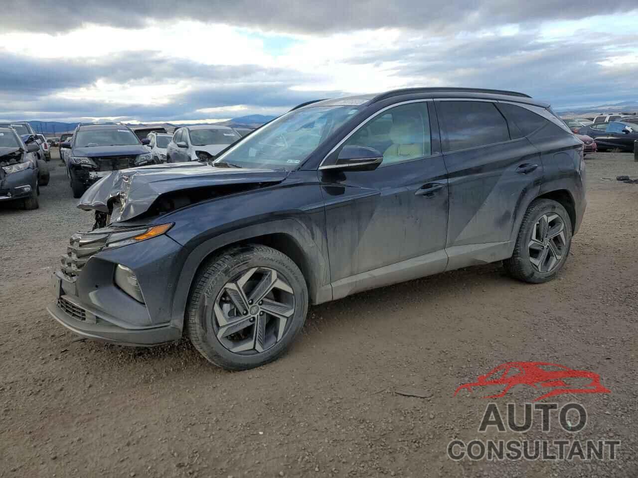 HYUNDAI TUCSON 2022 - KM8JECA13NU018048