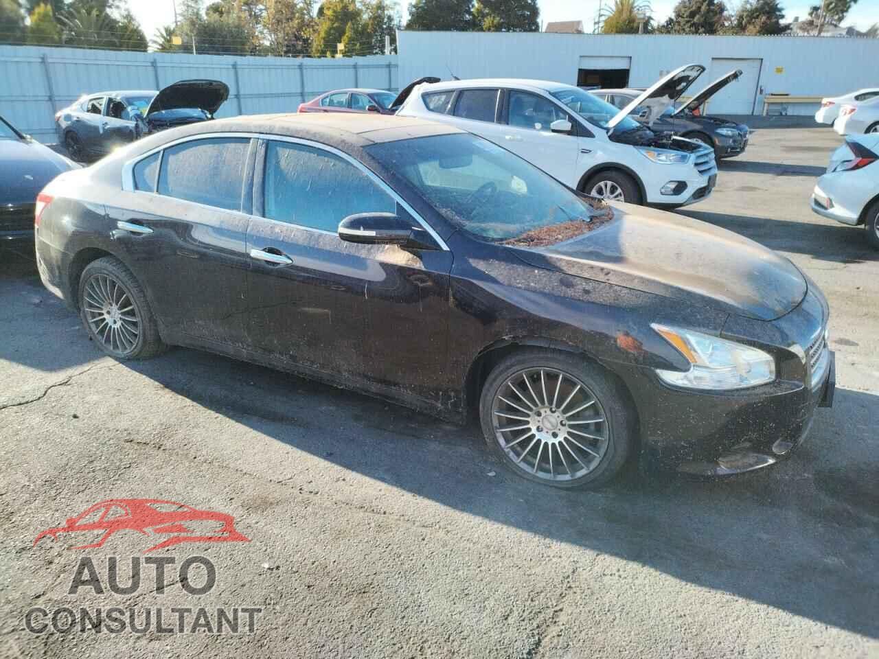 NISSAN MAXIMA 2010 - 1N4AA5AP1AC805621