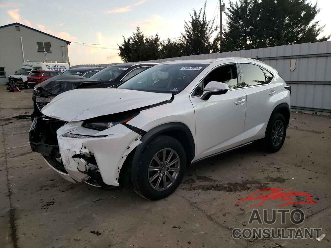 LEXUS NX 2019 - JTJBARBZ8K2185179