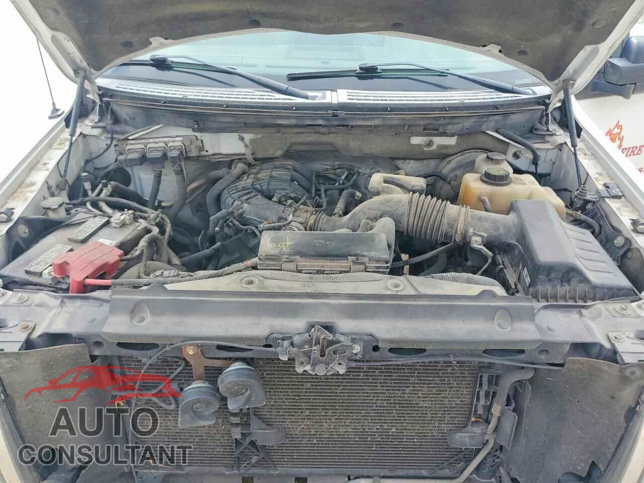 FORD F150 2012 - 1FTMF1CM1CKD25818