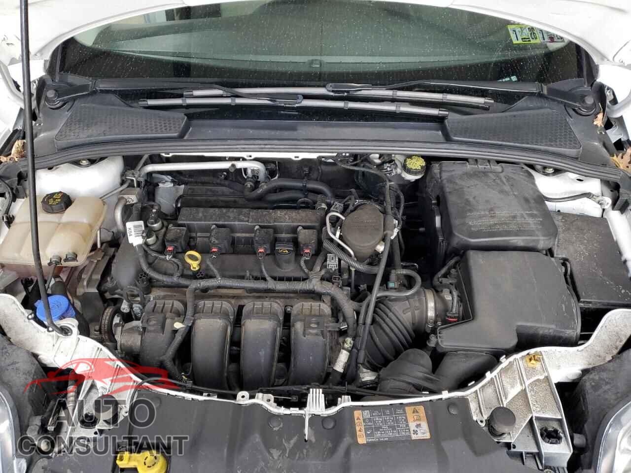 FORD FOCUS 2014 - 1FADP3F2XEL421856