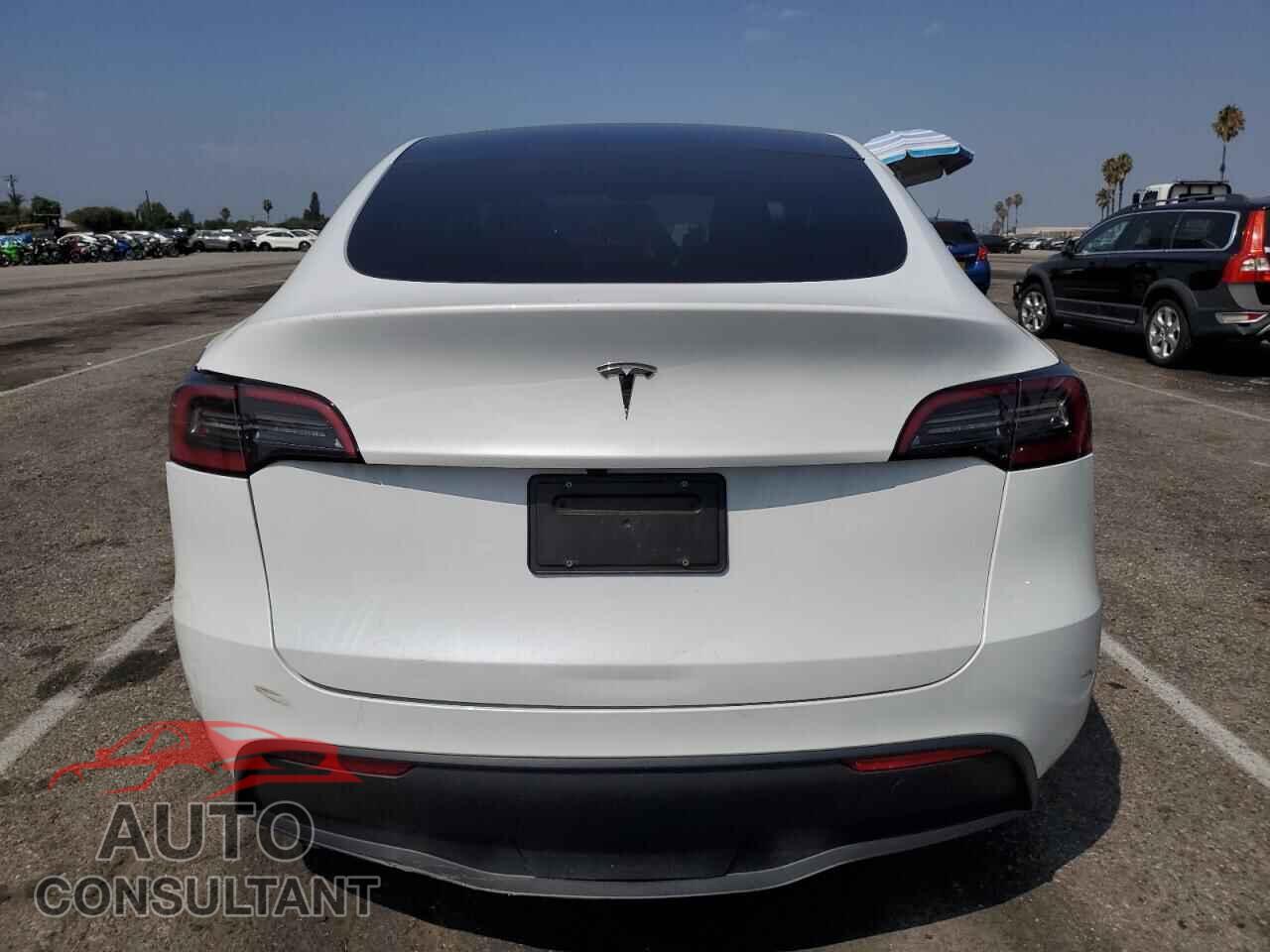 TESLA MODEL Y 2024 - 7SAYGDED6RF043891