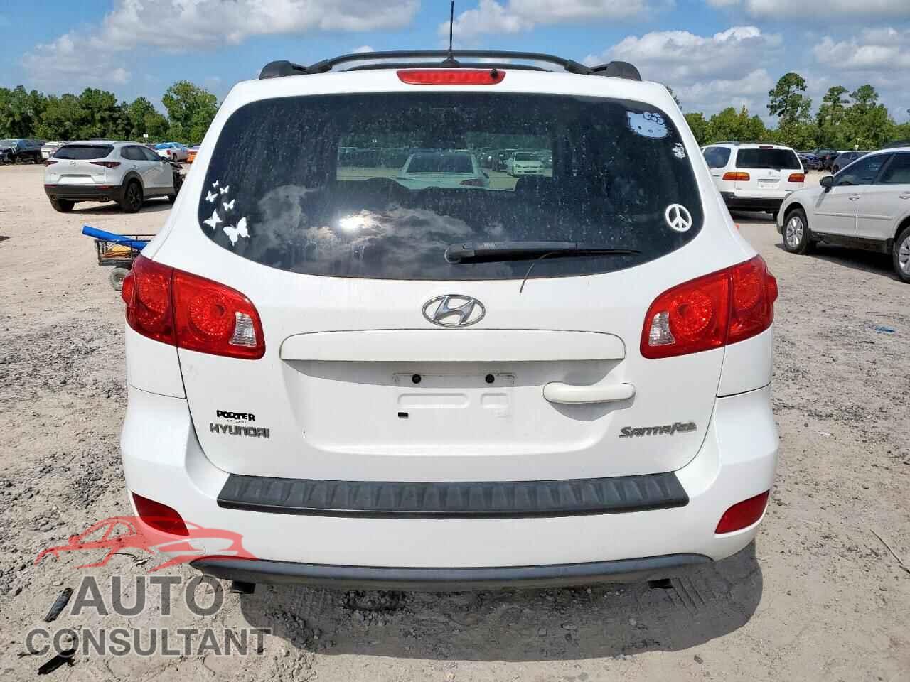 HYUNDAI SANTA FE 2009 - 5NMSG13DX9H298286