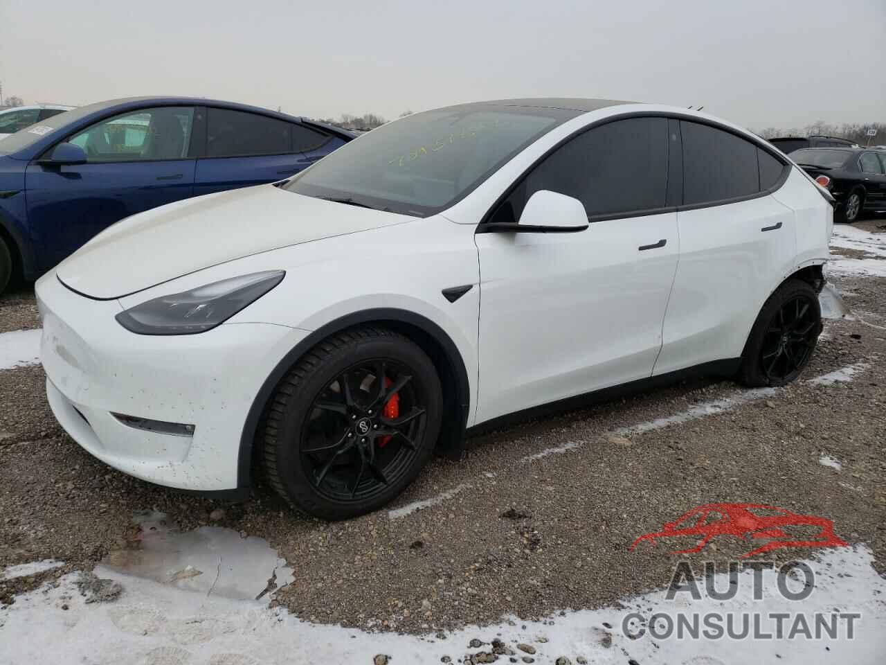 TESLA MODEL Y 2021 - 5YJYGDEF1MF182754