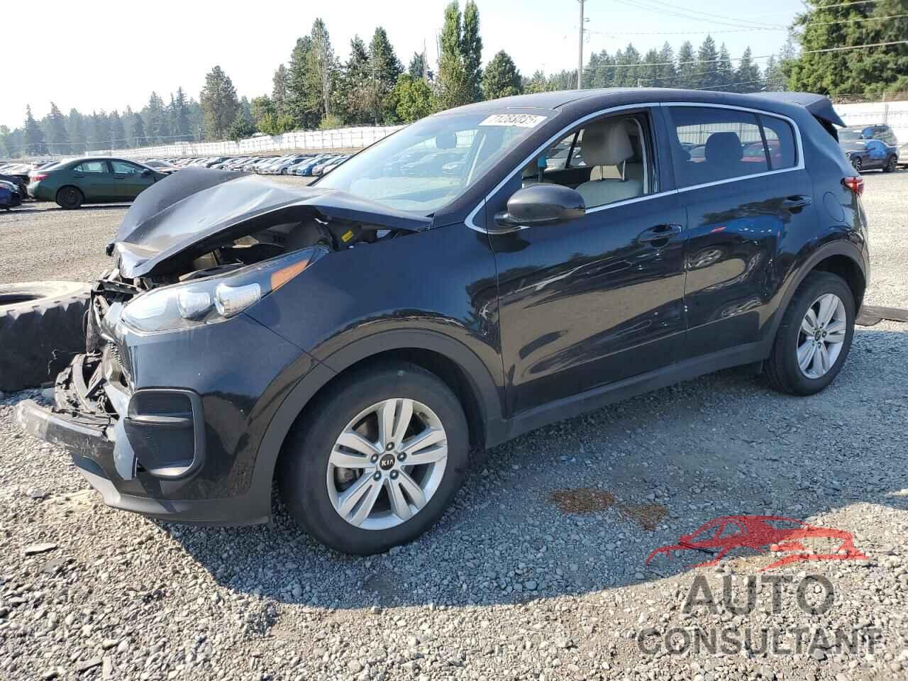 KIA SPORTAGE 2019 - KNDPM3AC2K7618640