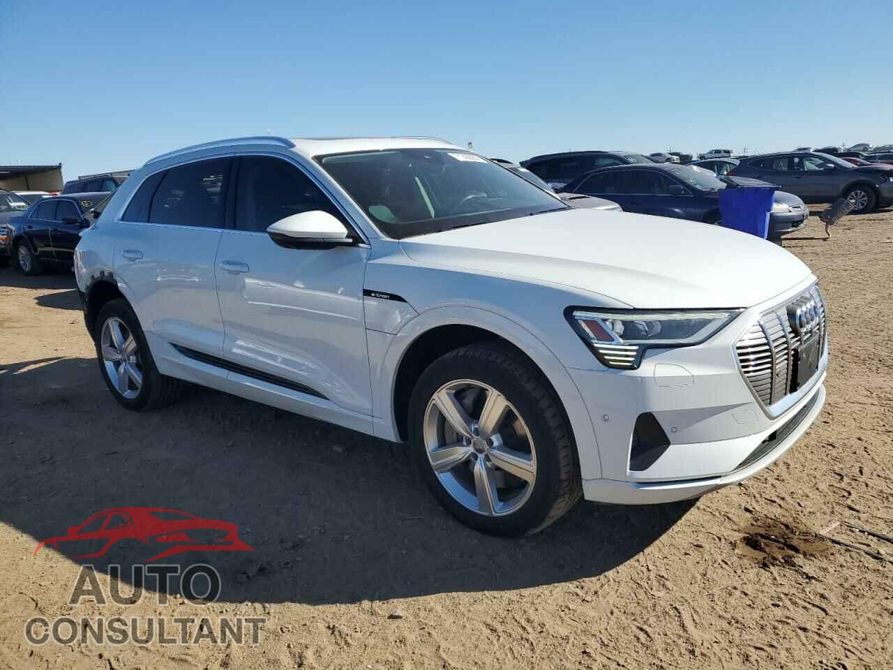 AUDI E-TRON 2019 - WA1LAAGE0KB021496