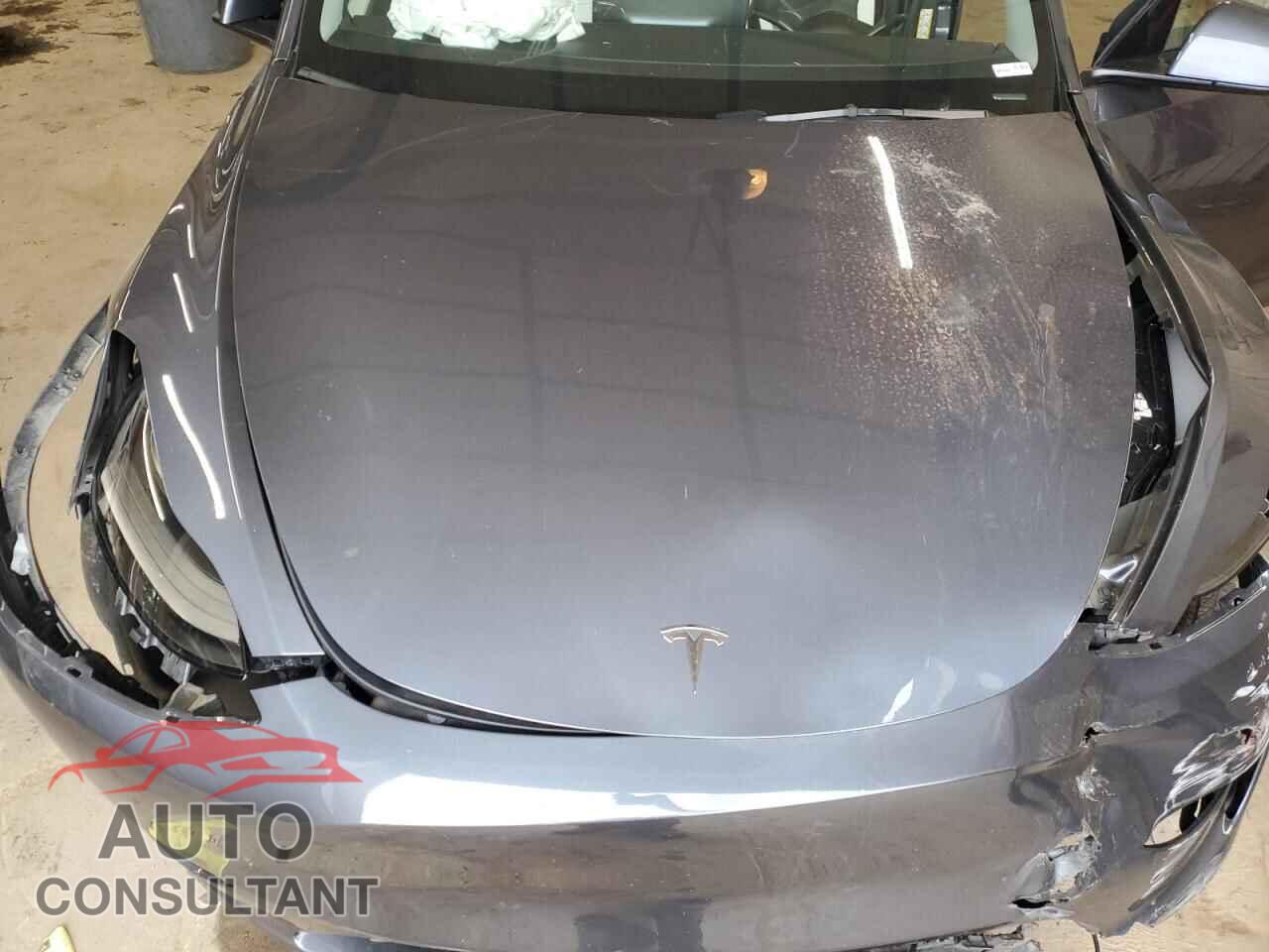TESLA MODEL Y 2023 - 7SAYGAEE5PF934680