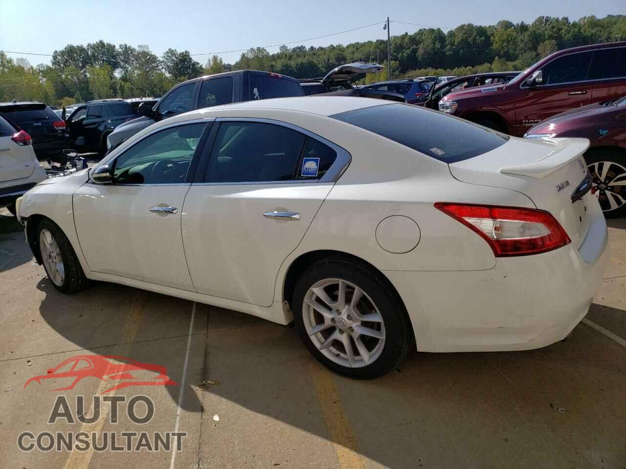 NISSAN MAXIMA 2009 - 1N4AA51E99C828011