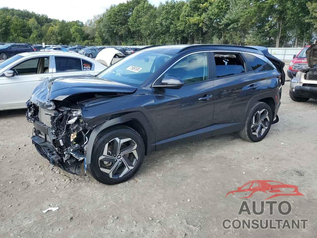 HYUNDAI TUCSON 2023 - 5NMJFCAE4PH208682