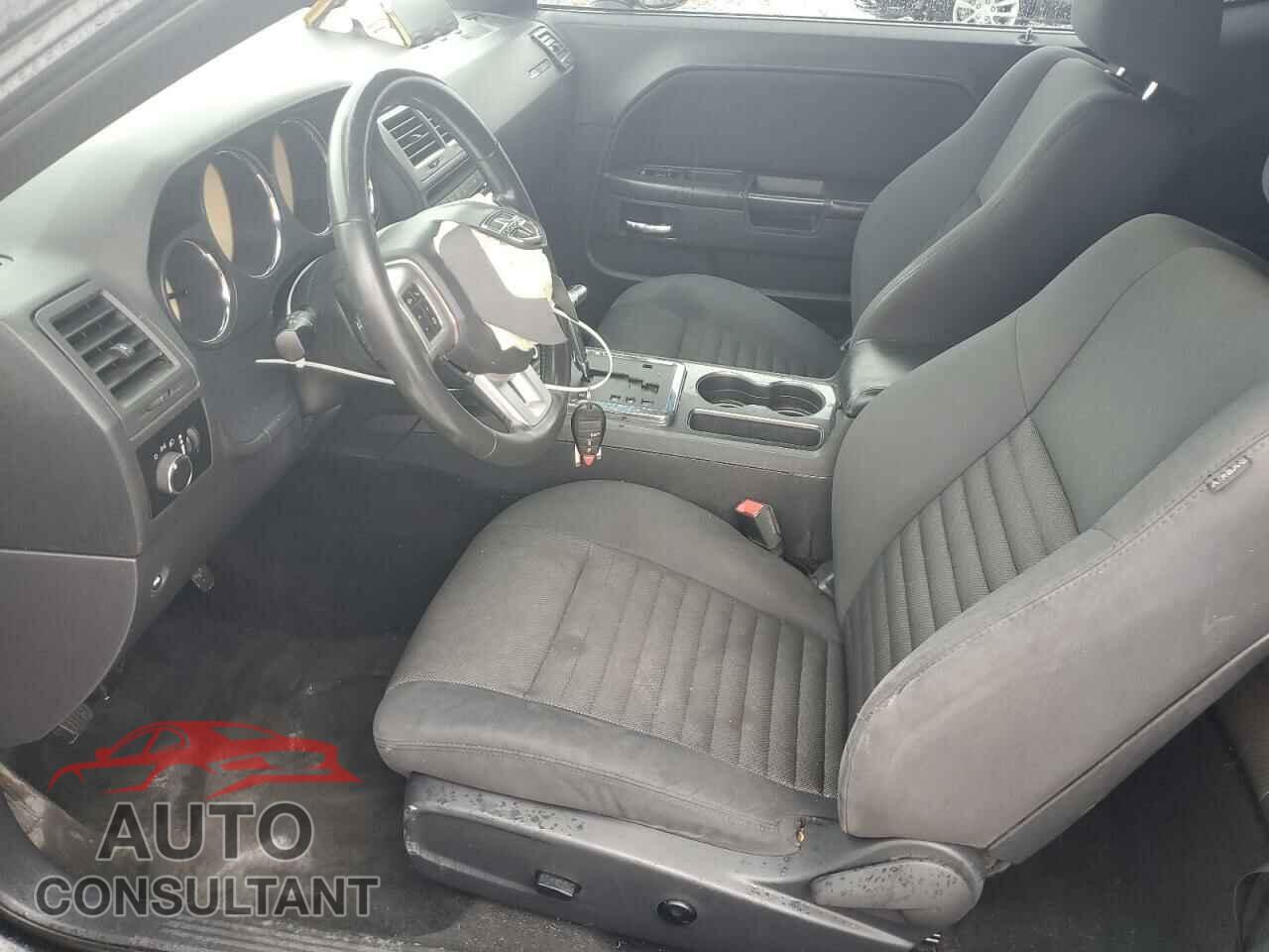 DODGE CHALLENGER 2013 - 2C3CDYAG0DH510799