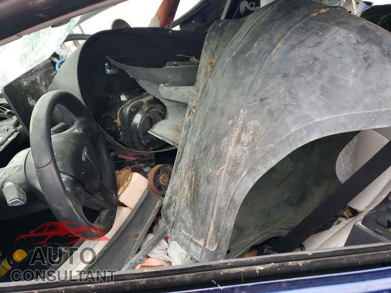TESLA MODEL 3 2019 - 5YJ3E1EA2KF517617
