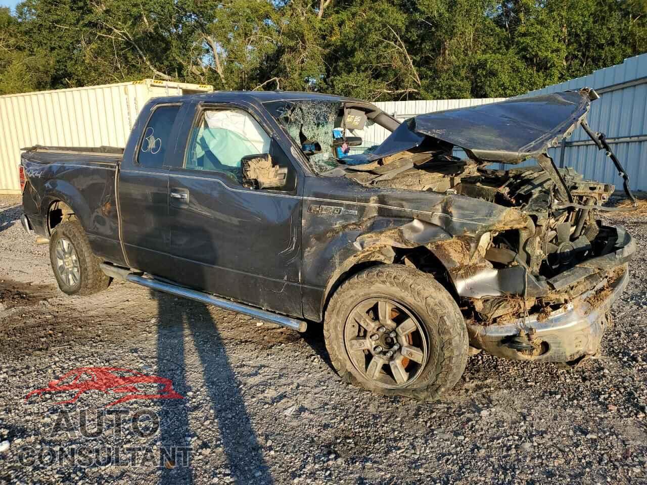 FORD F-150 2011 - 1FTFX1EF2BFB69087