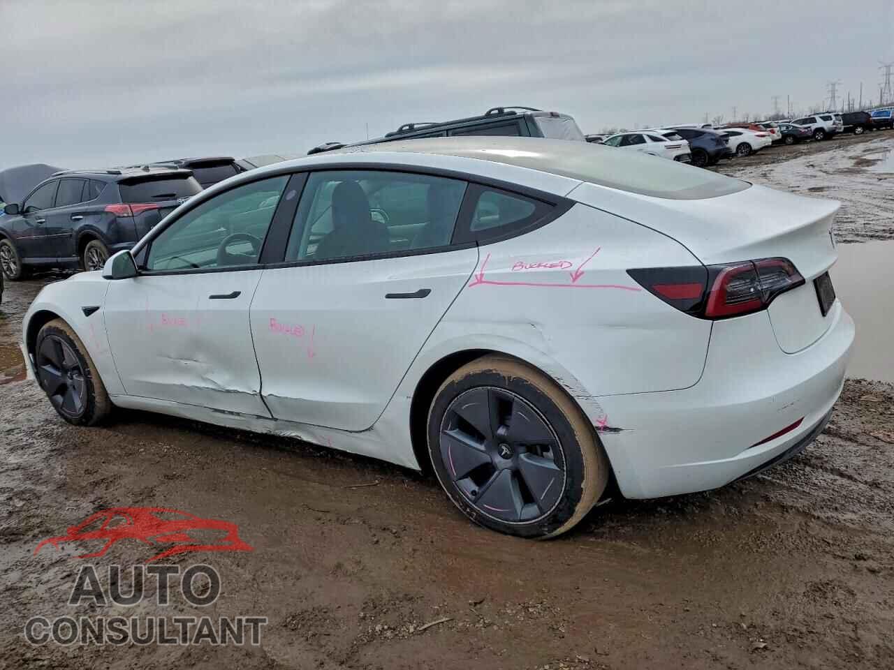 TESLA MODEL 3 2022 - 5YJ3E1EBXNF261742