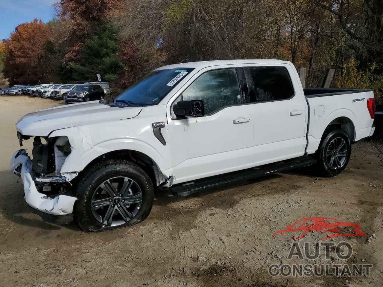 FORD F-150 2023 - 1FTEW1C54PFC56926