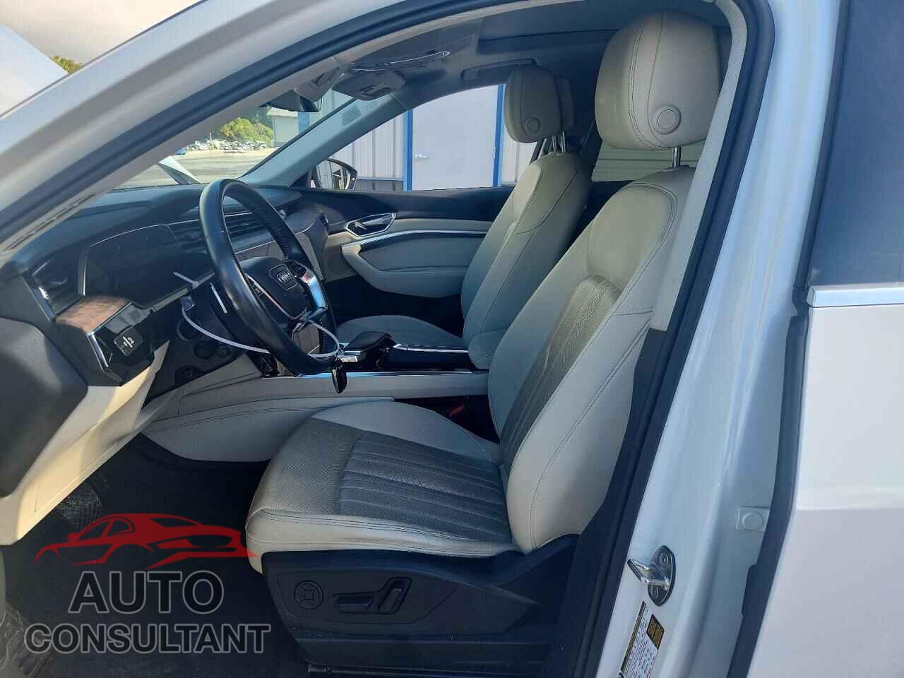 AUDI E-TRON 2019 - WA1LAAGEXKB022879