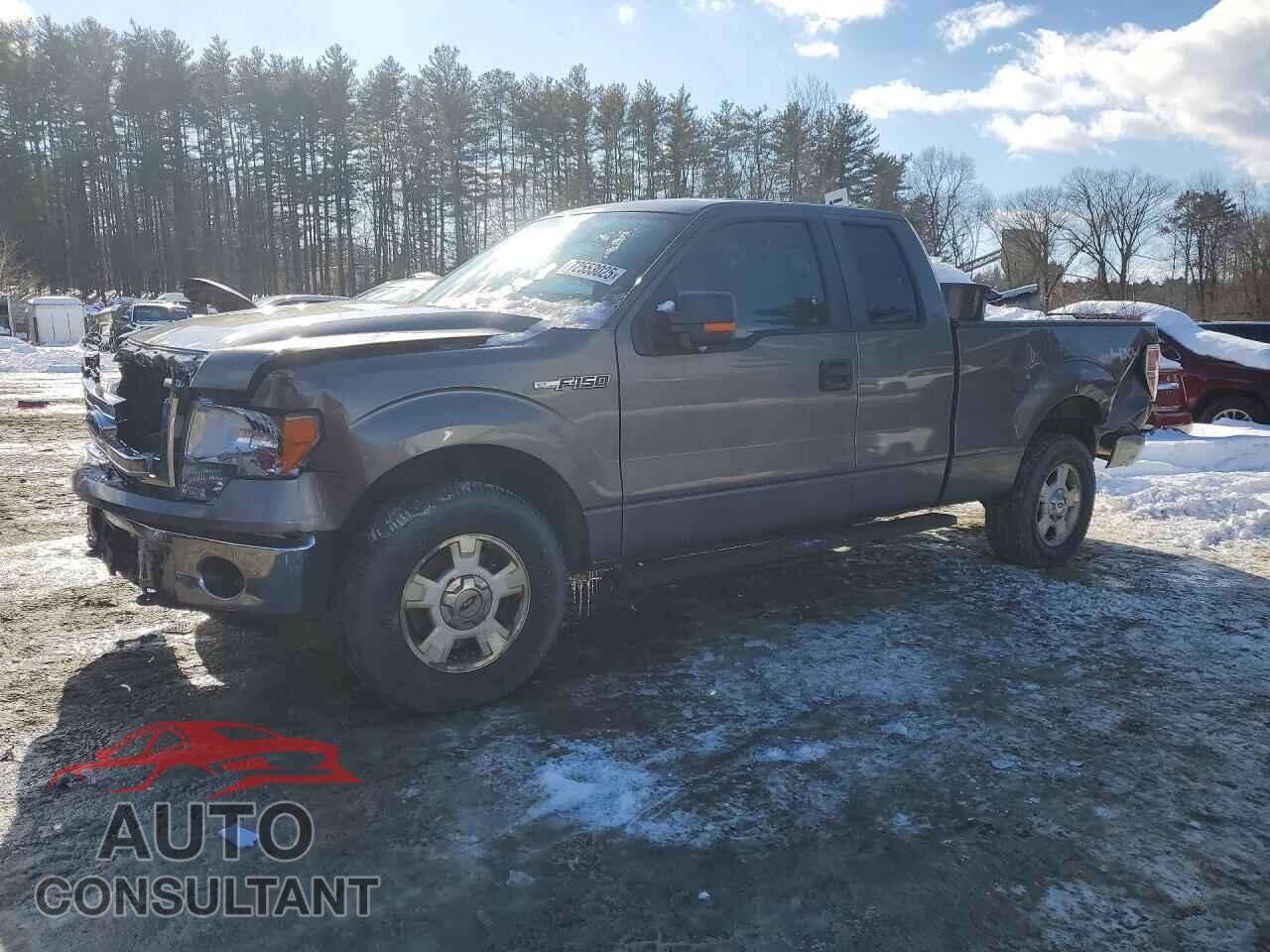 FORD F-150 2014 - 1FTEX1EM5EFA46415