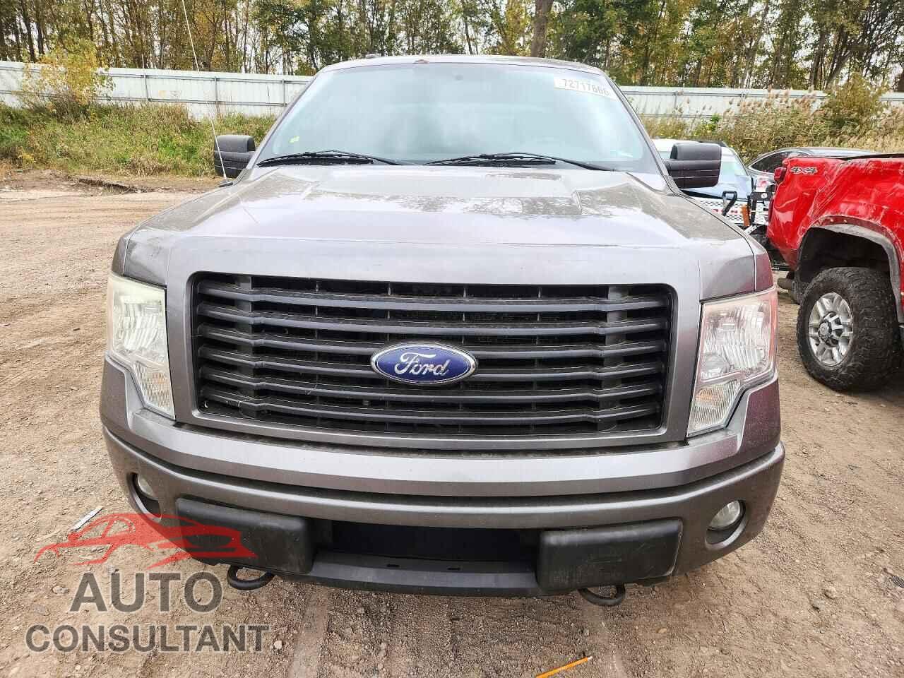 FORD F150 2014 - 1FTFX1EF9EFB39315