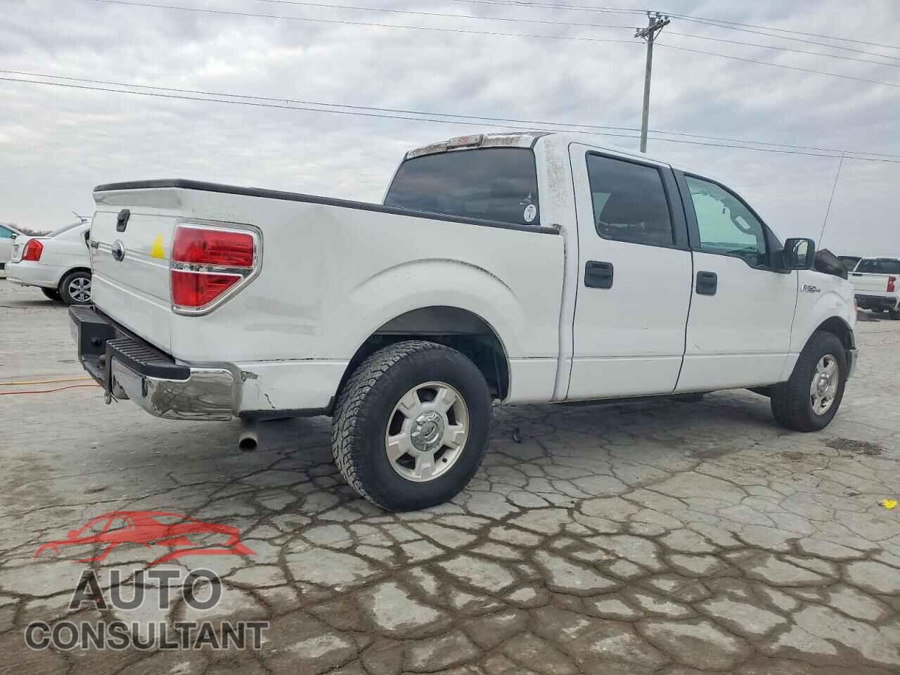 FORD F-150 2009 - 1FTRW12829FB19242