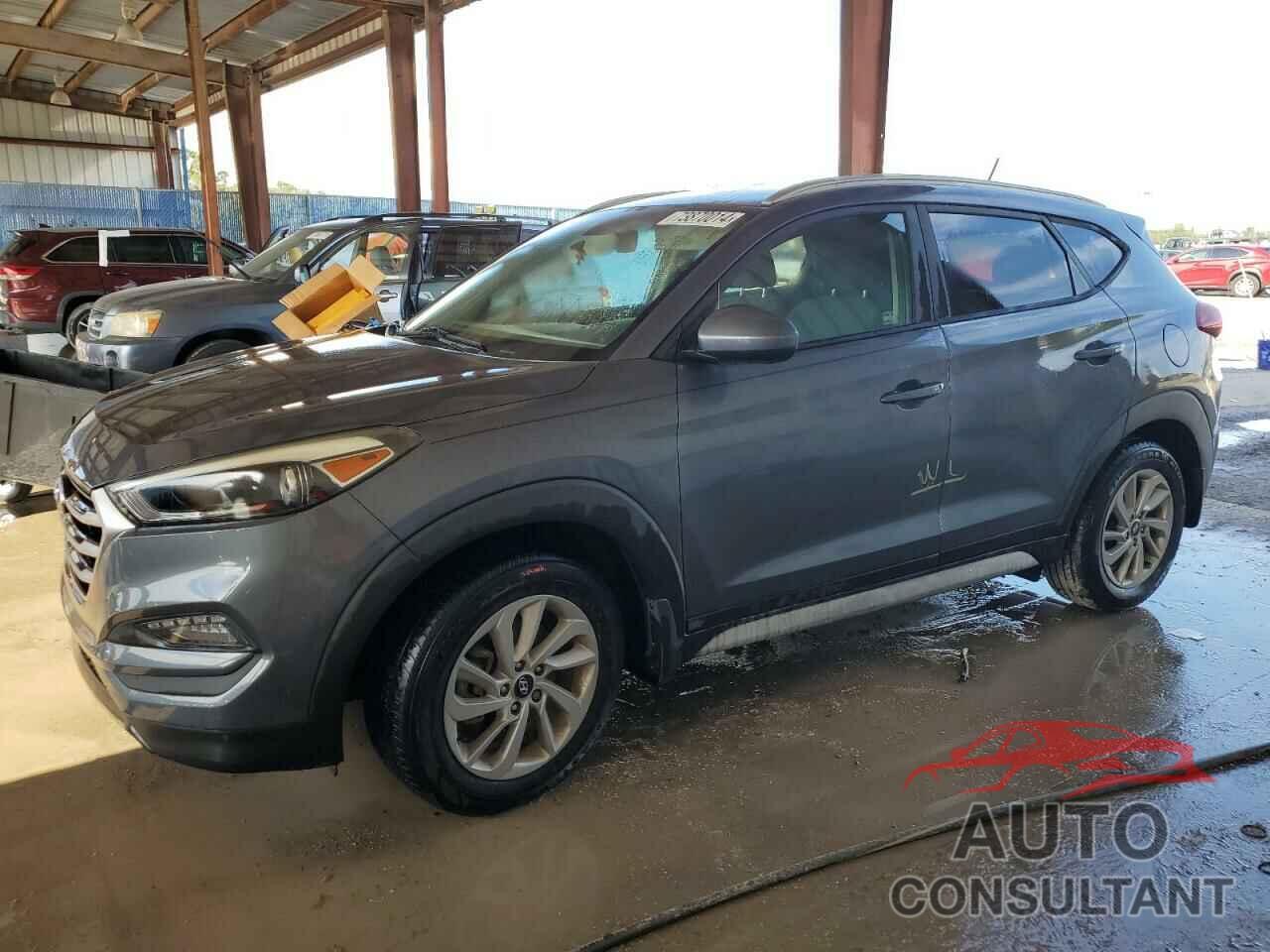 HYUNDAI TUCSON 2017 - KM8J33A42HU520540