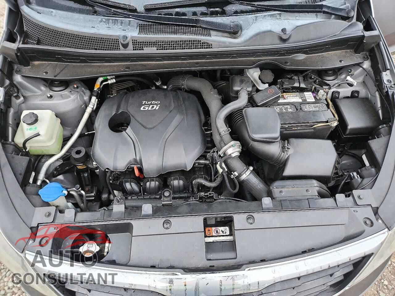 KIA SPORTAGE 2014 - KNDPCCA61E7656295