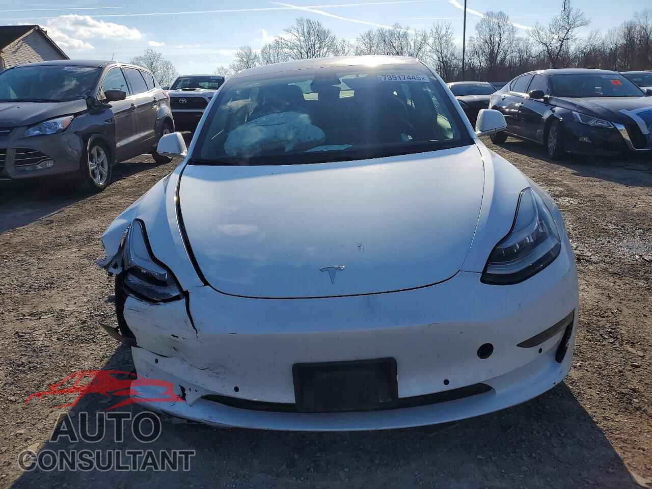 TESLA MODEL 3 2019 - 5YJ3E1EB2KF515715