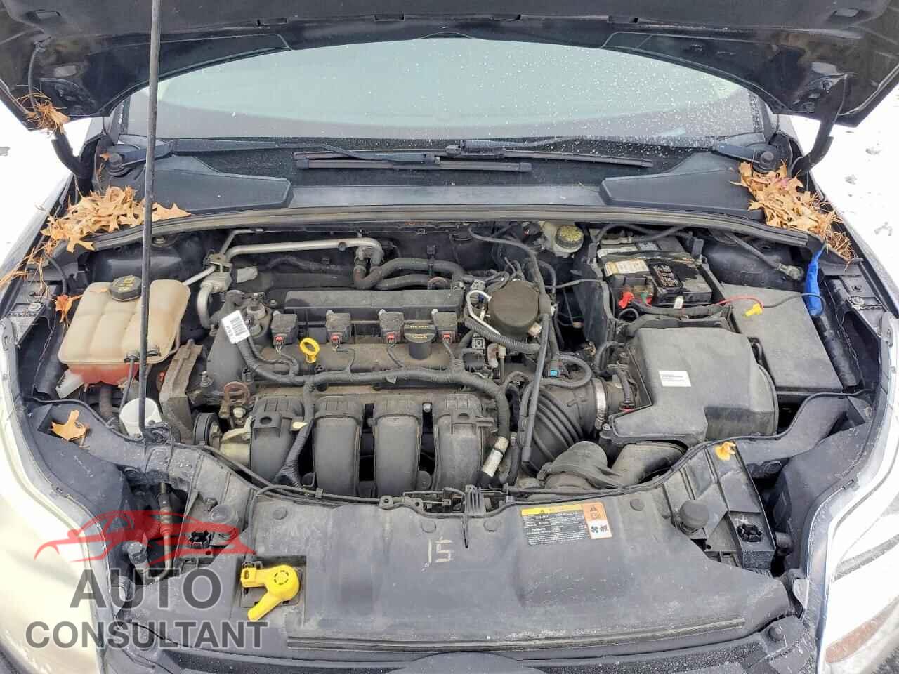 FORD FOCUS 2014 - 1FADP3F22EL193206