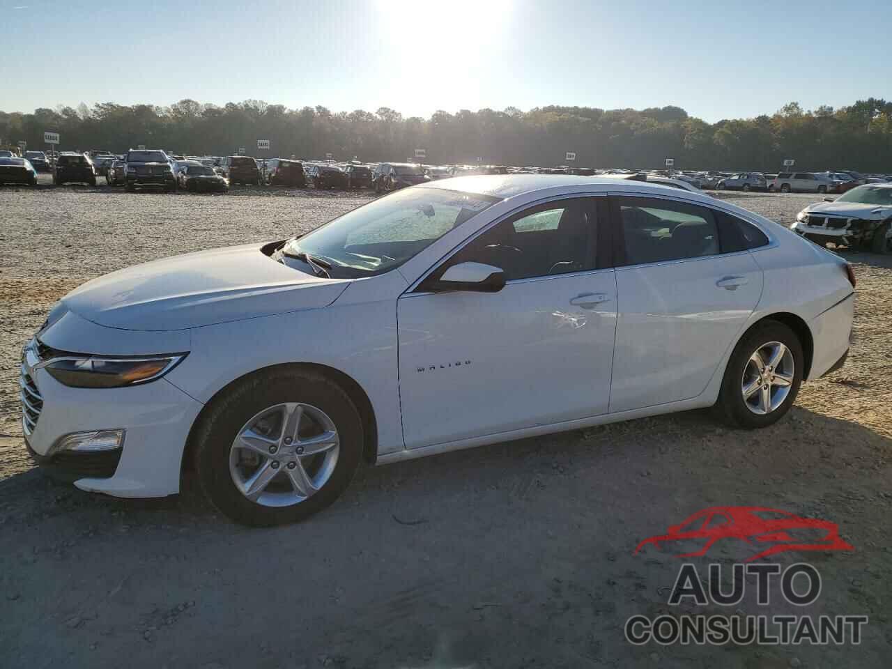CHEVROLET MALIBU 2023 - 1G1ZC5ST7PF193816