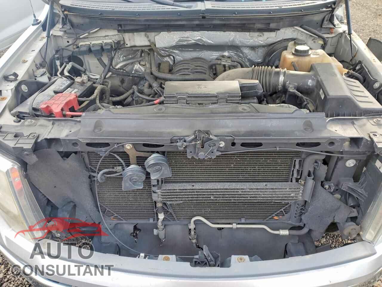 FORD F-150 2013 - 1FTFX1CF4DFC62618