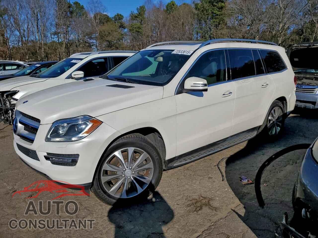 MERCEDES-BENZ GL-CLASS 2013 - 4JGDF7CE6DA249348