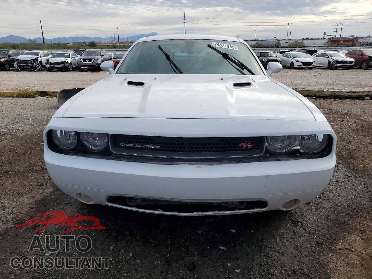 DODGE CHALLENGER 2014 - 2C3CDYBT0EH101358
