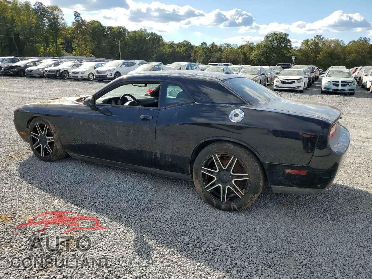 DODGE CHALLENGER 2013 - 2C3CDYAG3DH511607