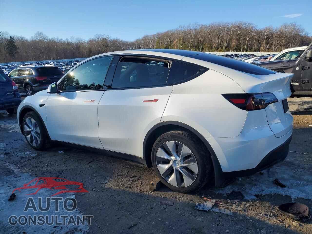 TESLA MODEL Y 2023 - 7SAYGDEE3PF803653