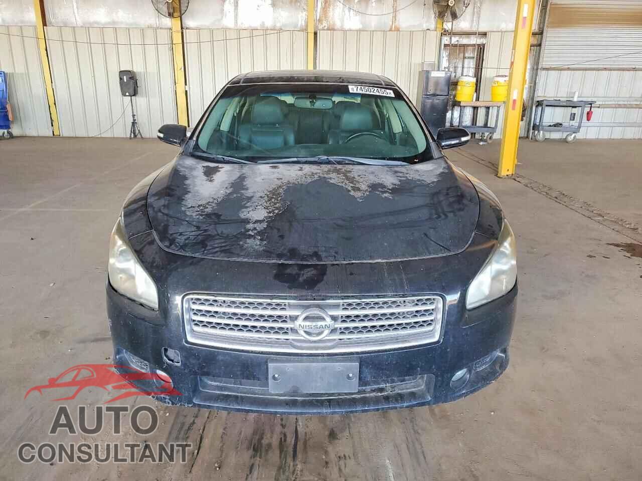 NISSAN MAXIMA 2011 - 1N4AA5AP6BC835893