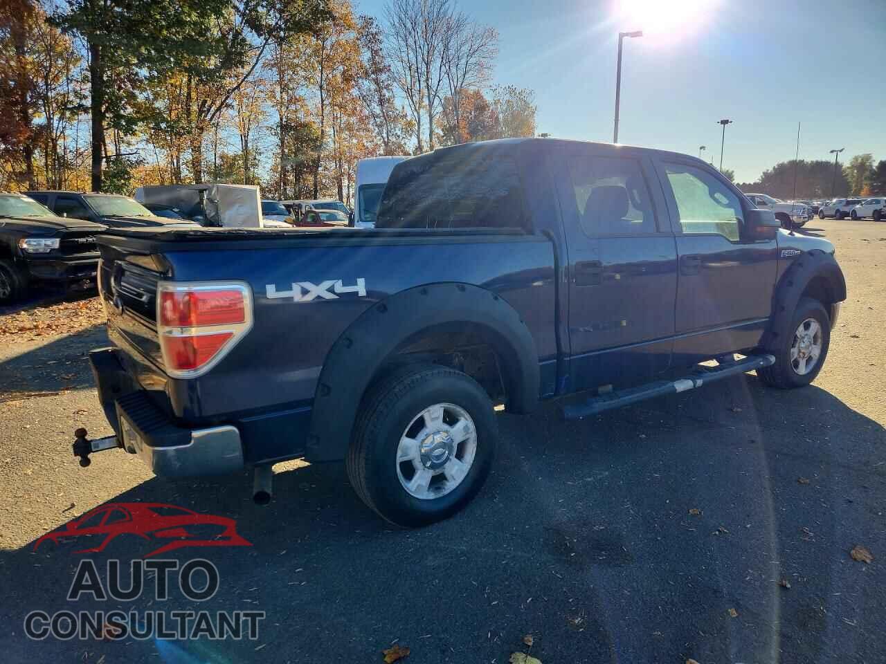 FORD F150 2010 - 1FTEW1E81AFD37560