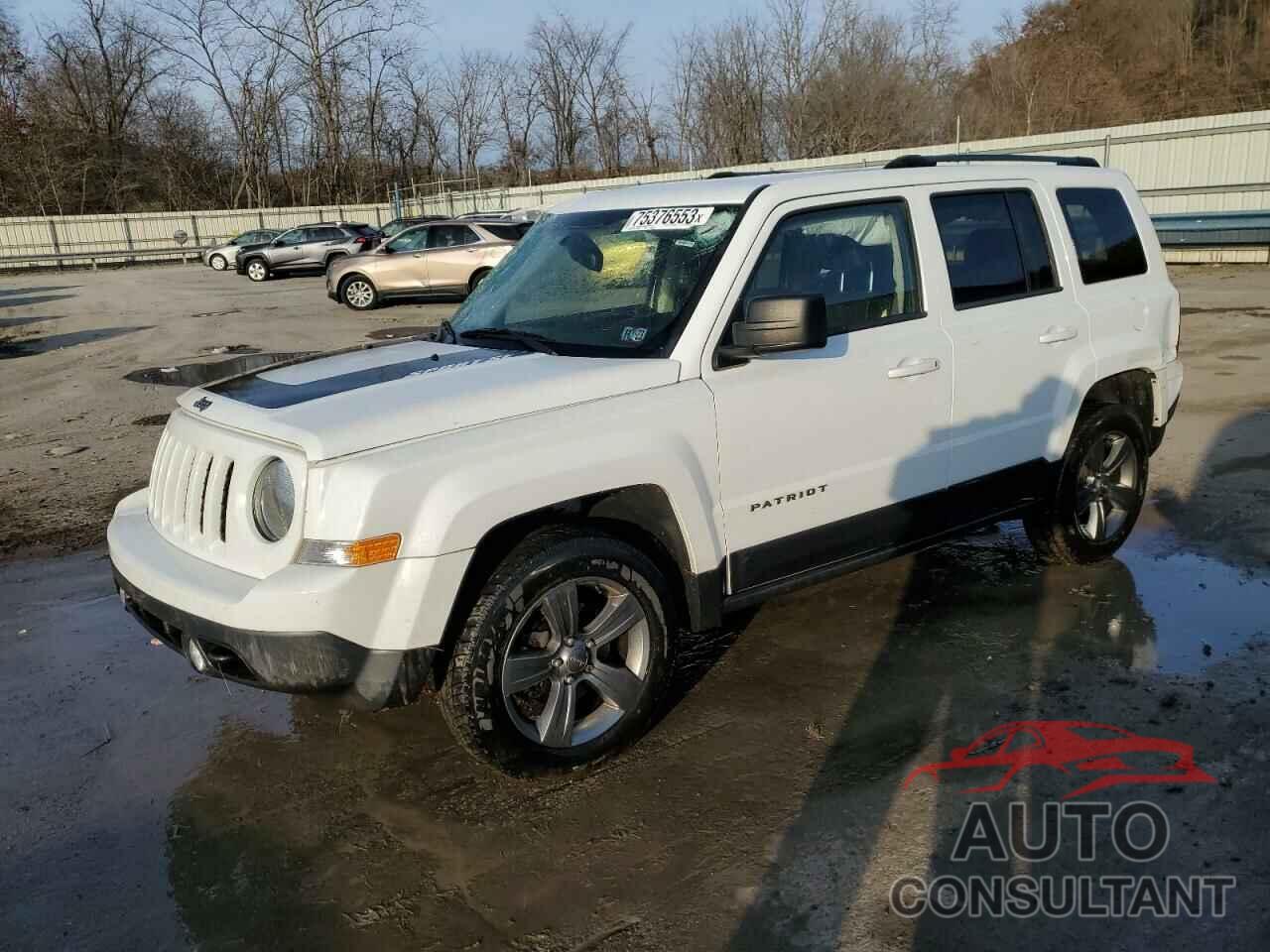 JEEP PATRIOT 2017 - 1C4NJRBB1HD168711