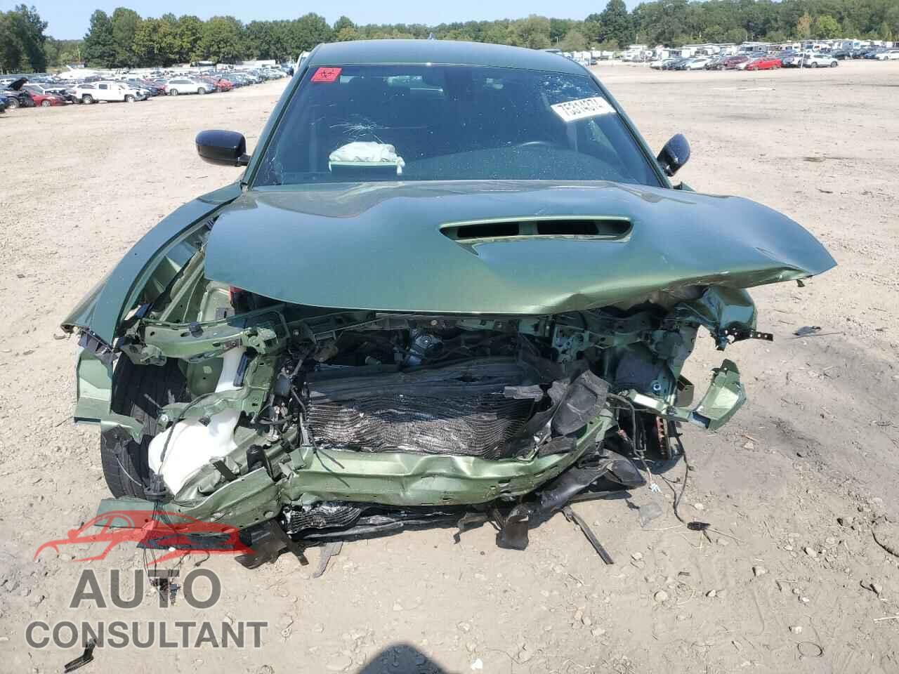 DODGE CHARGER 2019 - 2C3CDXCT3KH749166