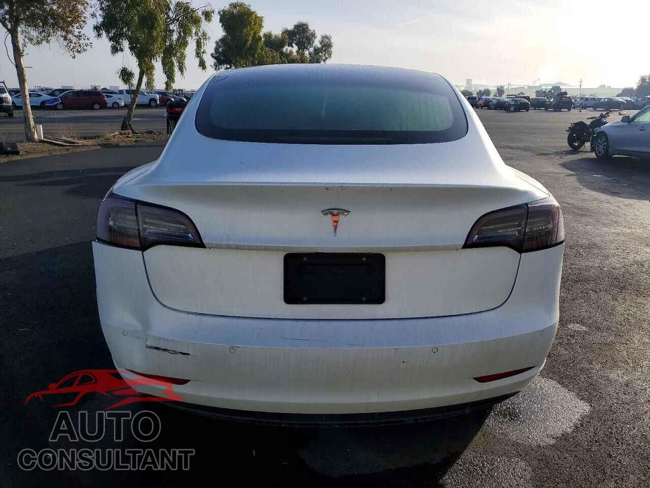 TESLA MODEL 3 2019 - 5YJ3E1EA0KF484939