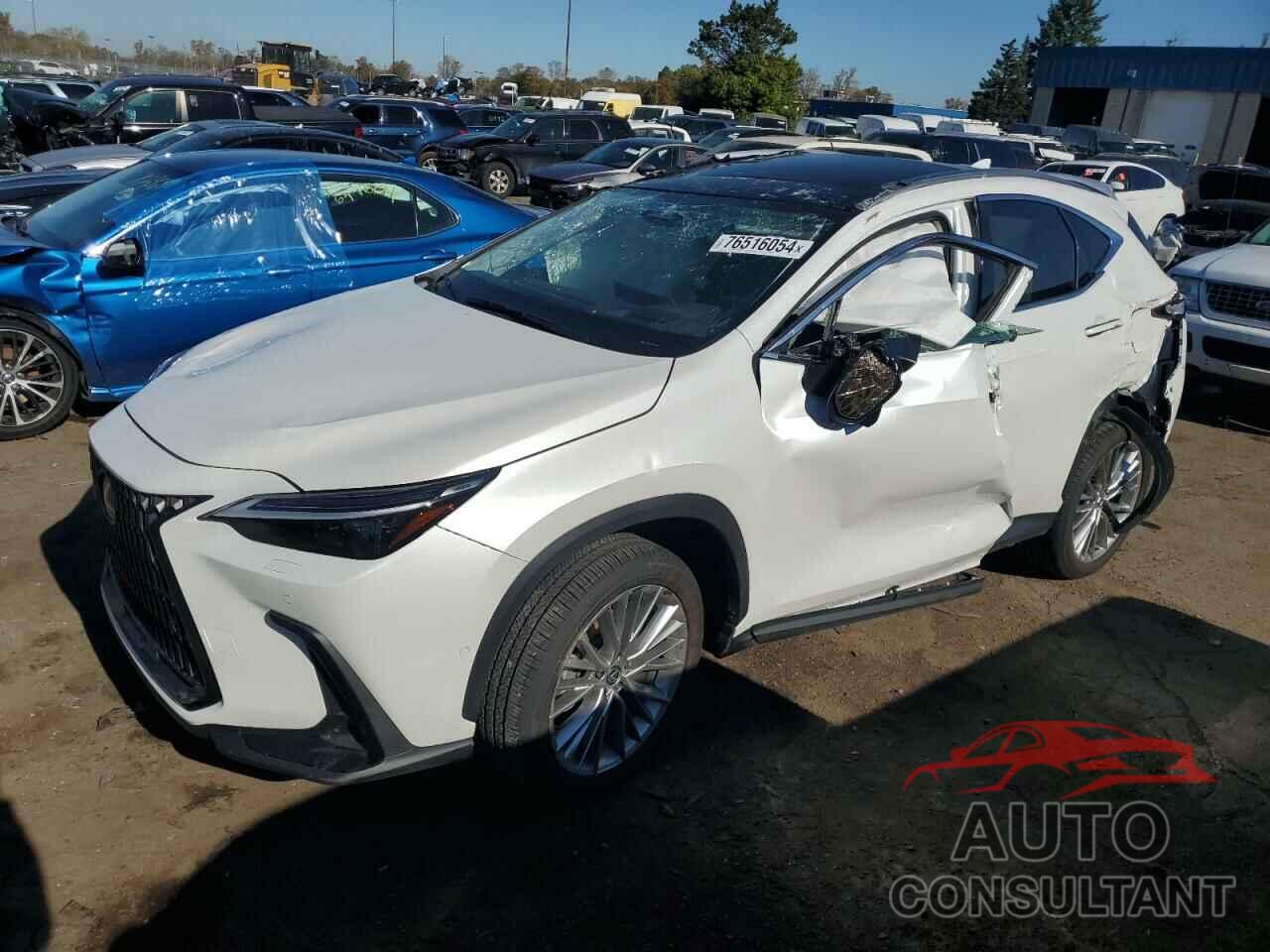 LEXUS NX 350H BA 2024 - JTJHKCEZ6R2029510