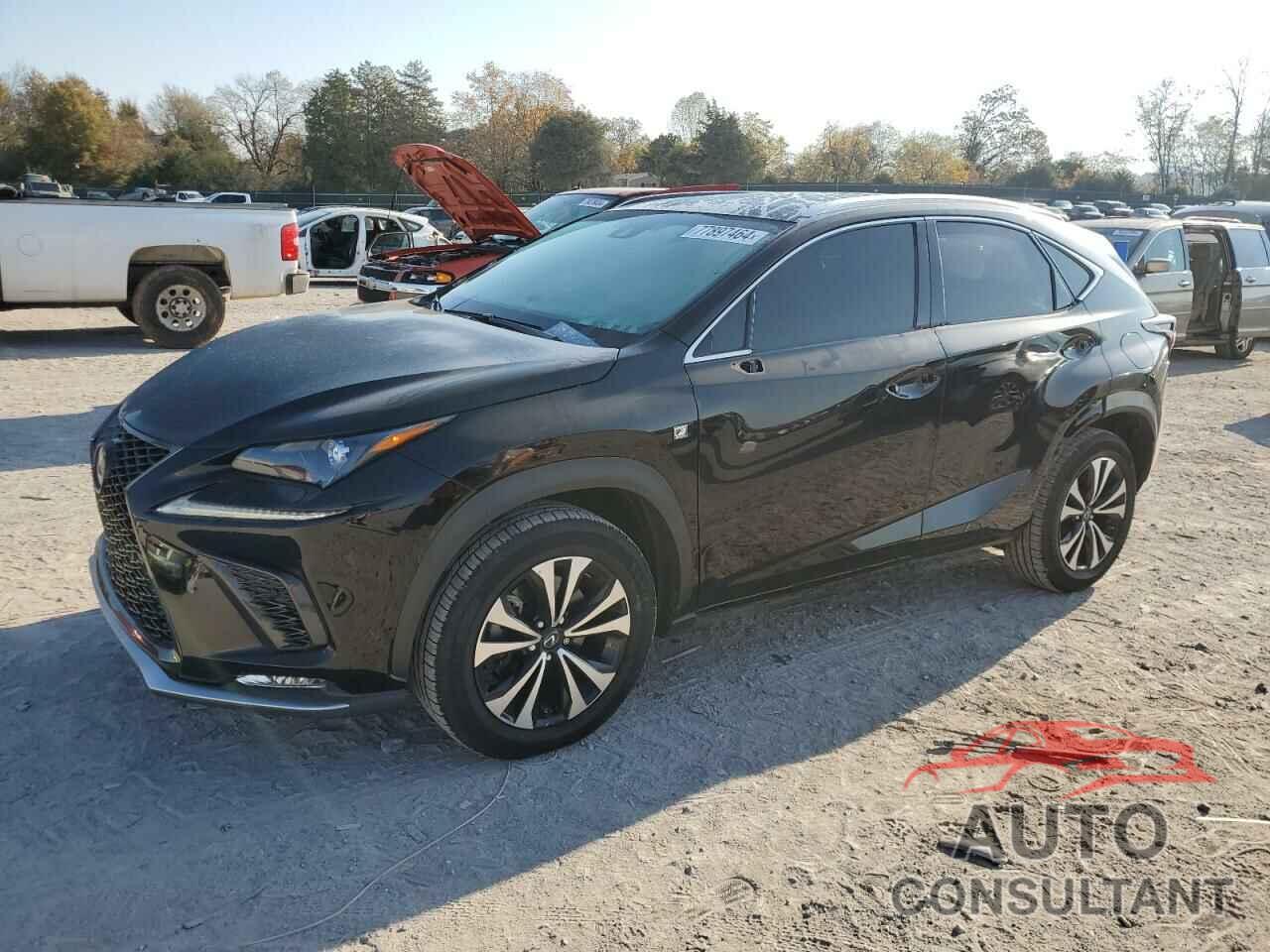 LEXUS NX 2019 - JTJBARBZ8K2189622